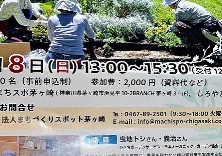 PXL_20260221_091050712.MP_2