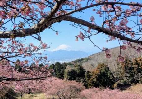 b7f16e97-a7cc-4489-ad9f-af9b3624d67e_1